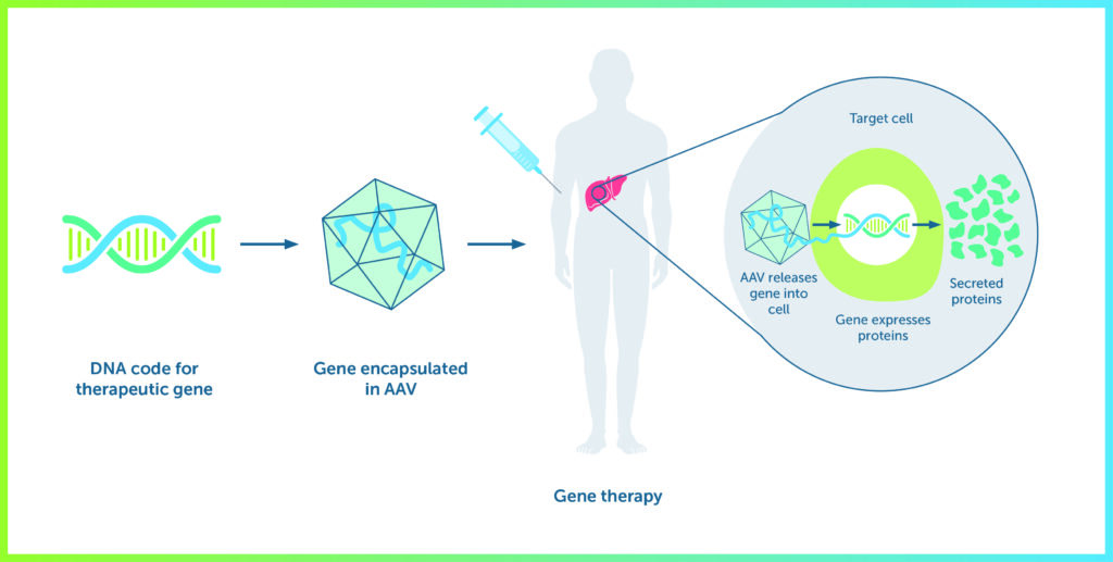 how gene therapy works for hemophilia